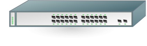 Grafica di semplice rete router con 24 switch