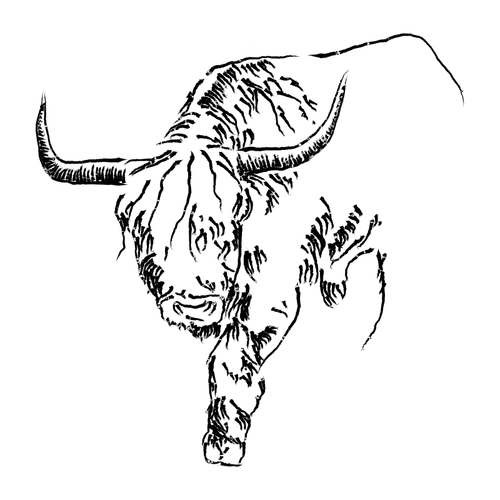 Bull sketsa vektor gambar