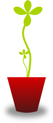 Vektorritning av anbud gröna växten i röd kruka