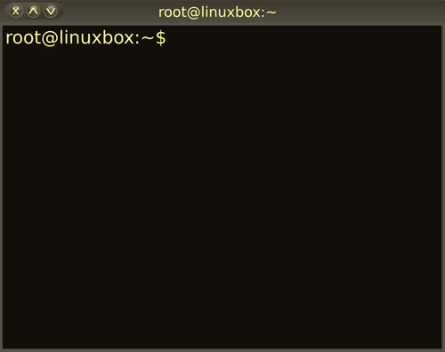 Linux shell terminal venster vector illustraties