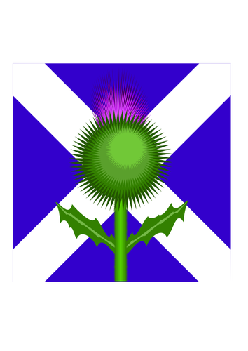 苏格兰蓟和旗子矢量图像