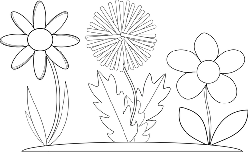 الرسومات المتجهة من ثلاثة أزهار كتاب التلوين