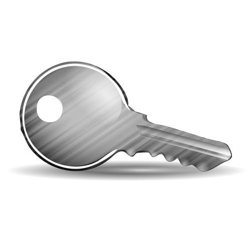 Glänzend Tür Schlüssel Vektor-illustration