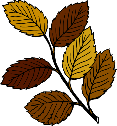 Осенние листья на филиал векторное изображение