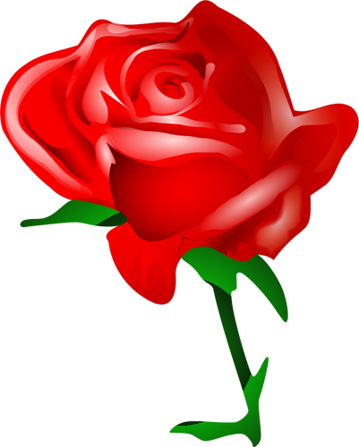 Rød rose vektor image
