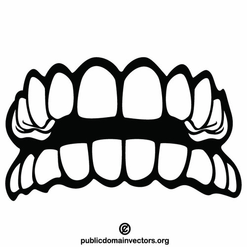 Человеческие зубы