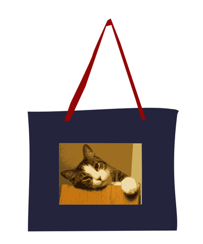 袋子与猫图片