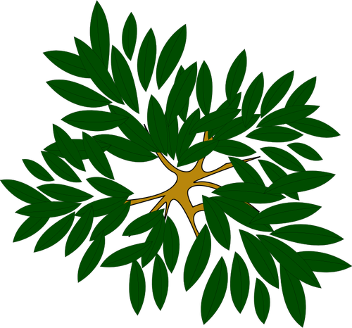 Лиственные растения