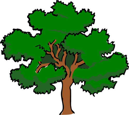 Vector illustraties van oaktree met brede treetop,