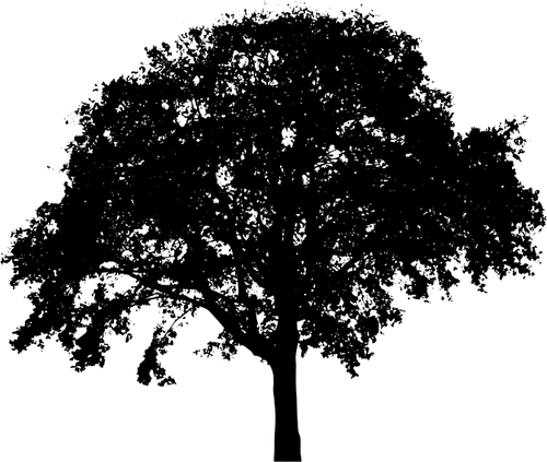 Gráficos vectoriales de silueta de forma de árbol que se separa