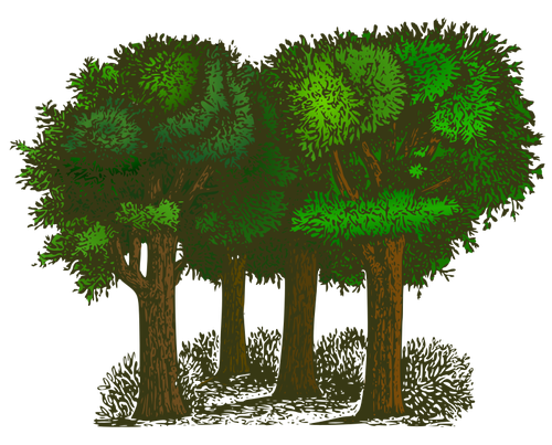 مجموعة من الأشجار