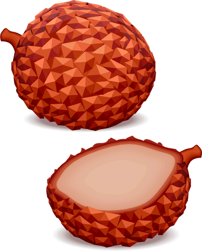 Image vectorielle de fruits tropicaux