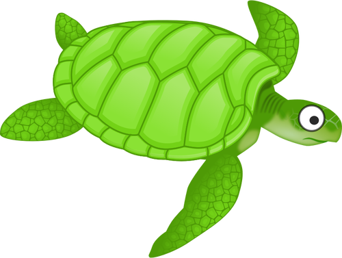 Cartoon schildpad