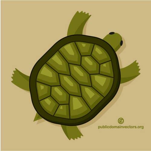 Zelené želvy Klipart