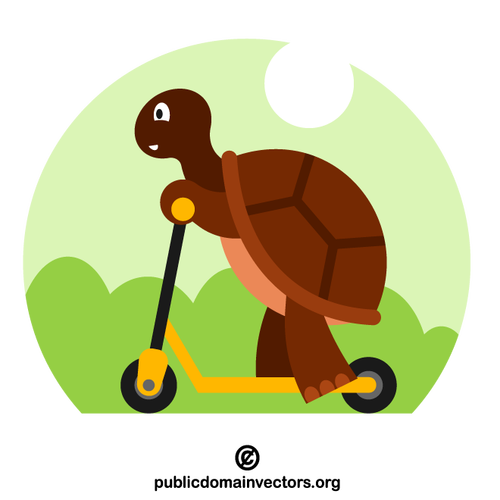 Sköldpadda som rider sparkcykel