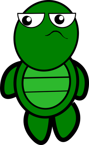 Illustration de la tortue verte