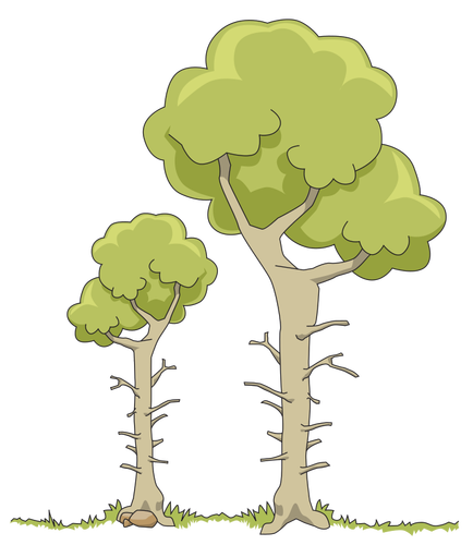 Due alberi della foresta