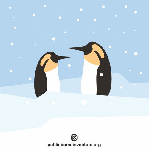 Två pingviner