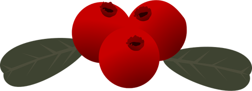 Immagine vettoriale di mirtillo rosso