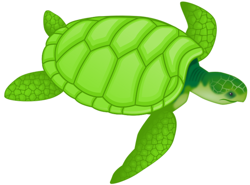 Grüne Meeresschildkröte Vektor-ClipArt