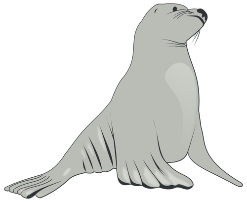 בתמונה וקטורית אריה ים