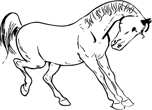Stegrande häst vektorgrafik