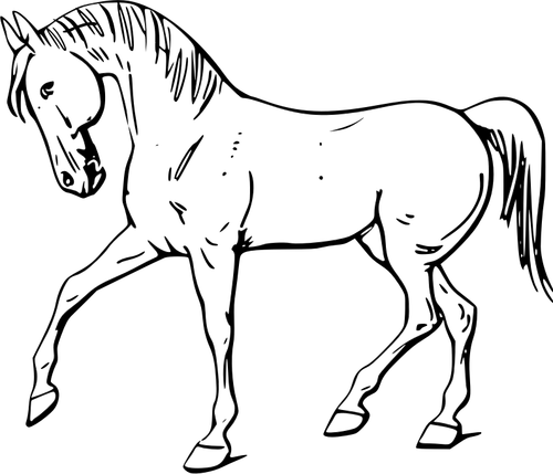 Dessin de vectoriel art de ligne Walking horse