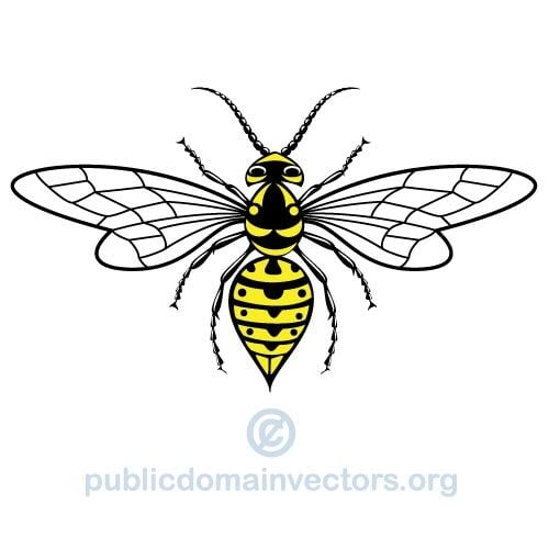 Wasp-Vektor-Bild