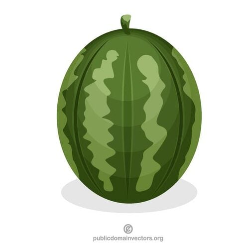 Watermeloen illustratie