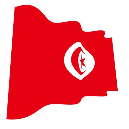 Bandera de Túnez vector