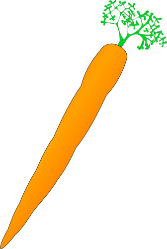 オレンジ色のニンジンのベクトル画像
