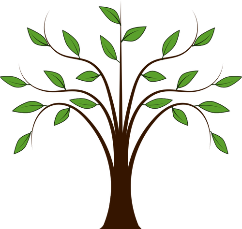 Obraz drzewa liściaste
