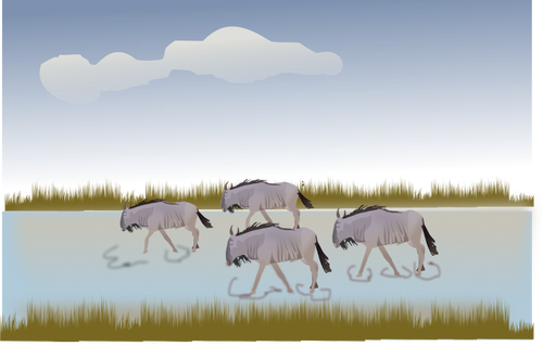 Wildbeest andando através de ilustração vetorial de savannah