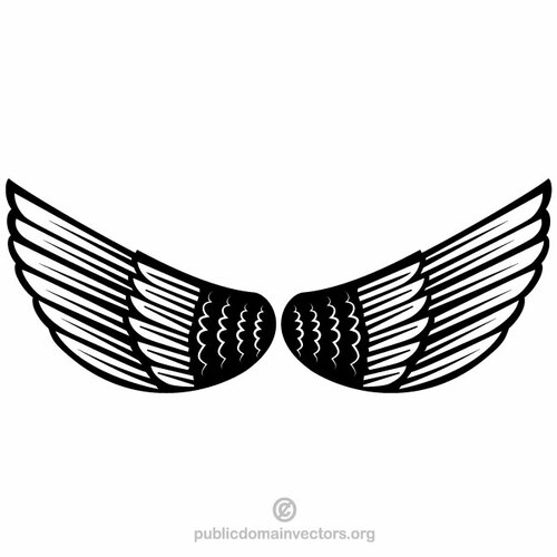 Flügel Federn