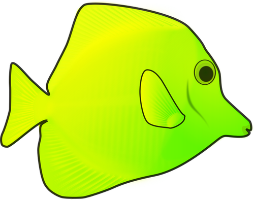 Tropisk fisk