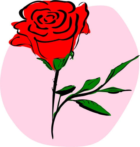 Vektorgrafikk av farget rose