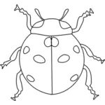 Image of ladybug for coloring book