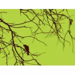 Bird on the branch vector drawing