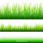 Siluet rumput hijau