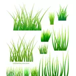 Prover av grönt gräs