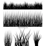 Silhouette of Grass Straws