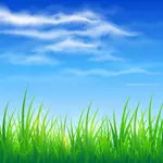 Blå himmel och grönt gräs