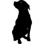 Immagine vettoriale Rottweiler