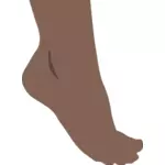 Imagen vectorial de pie humano