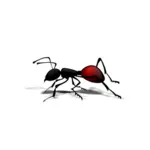 Image vectorielle de fourmi