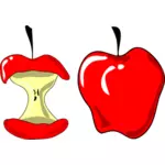 लाल सेब और सेब में एक आधा काट के वेक्टर चित्रण