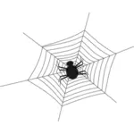 Spindel och net