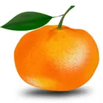 Portakal ve yaprak