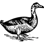 Vecteur de canard dessin