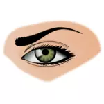 Grønn eye illustrasjon